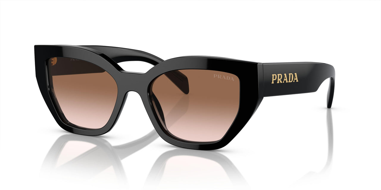 1AB0A6 - Black - Brown Gradient