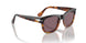 1160AF - Havana - Dark Violet Polar