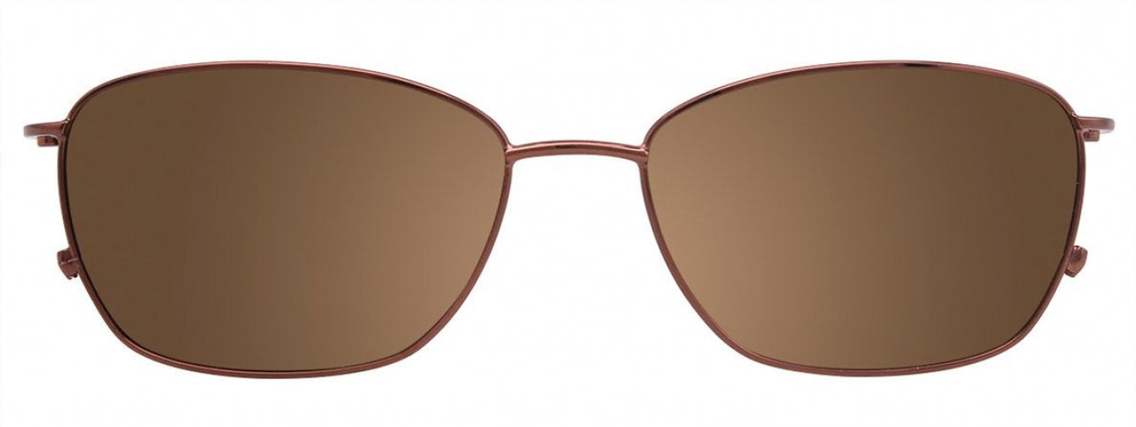 10 - Shiny Brown & Gold