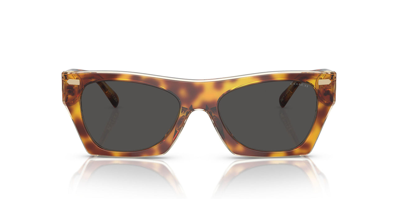 575687 - Brown - Grey Solid