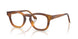 6163 - Tortoise