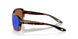911405 - Tortoise - Green Mirror
