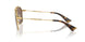 02/73 - Gold - Dark Brown