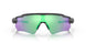 920852 - Polished Black - Prizm Black