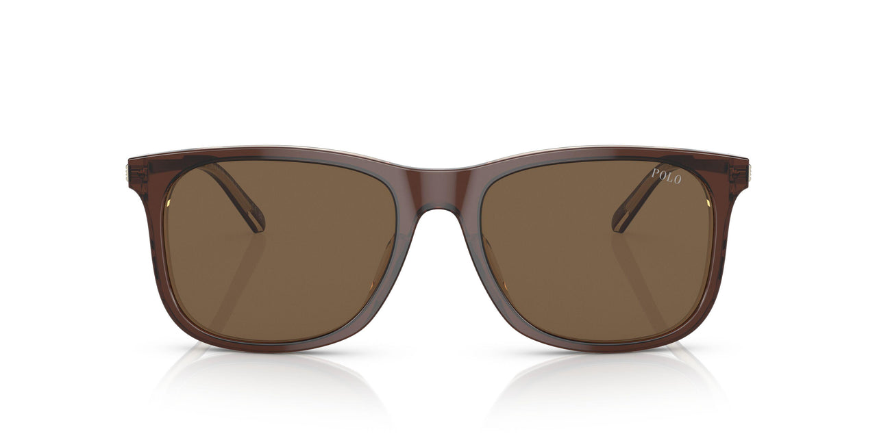 602973 - Brown - Brown