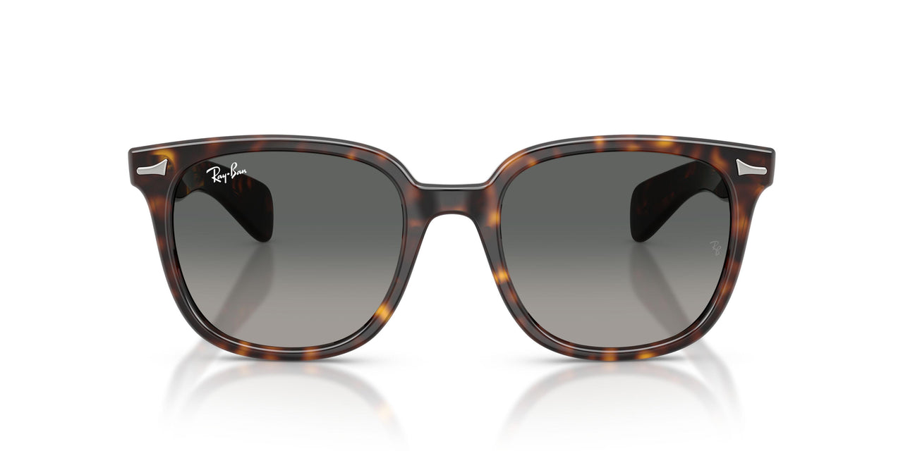 902/71 - Tortoise - Light Grey Gradient Dark Grey
