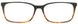 BLTR - Black/Tortoise