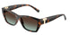 80155D - Tortoise - Azure Gradient Brown