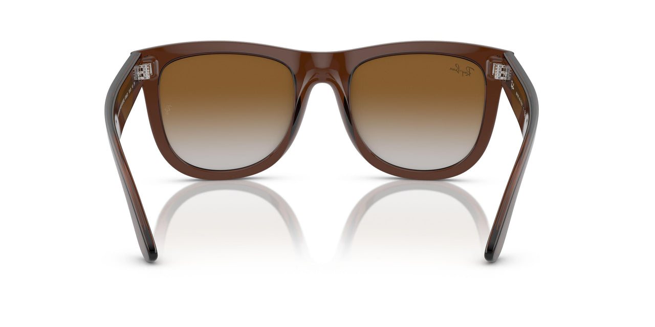 6709CB - Brown - Brown