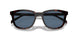 17N06A - Tortoise - Dark Blue
