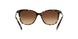 146213 - Brown - Dark Brown Gradient