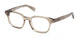 ZEGNA 5304 Eyeglasses