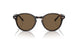 W65673 - Havana - Dark Brown