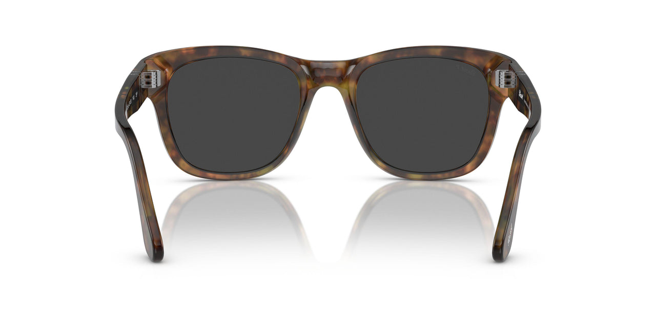 108/48 - Tortoise - Polar Black