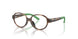 5003 - Tortoise