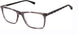 Caterpillar CTO3053 Eyeglasses