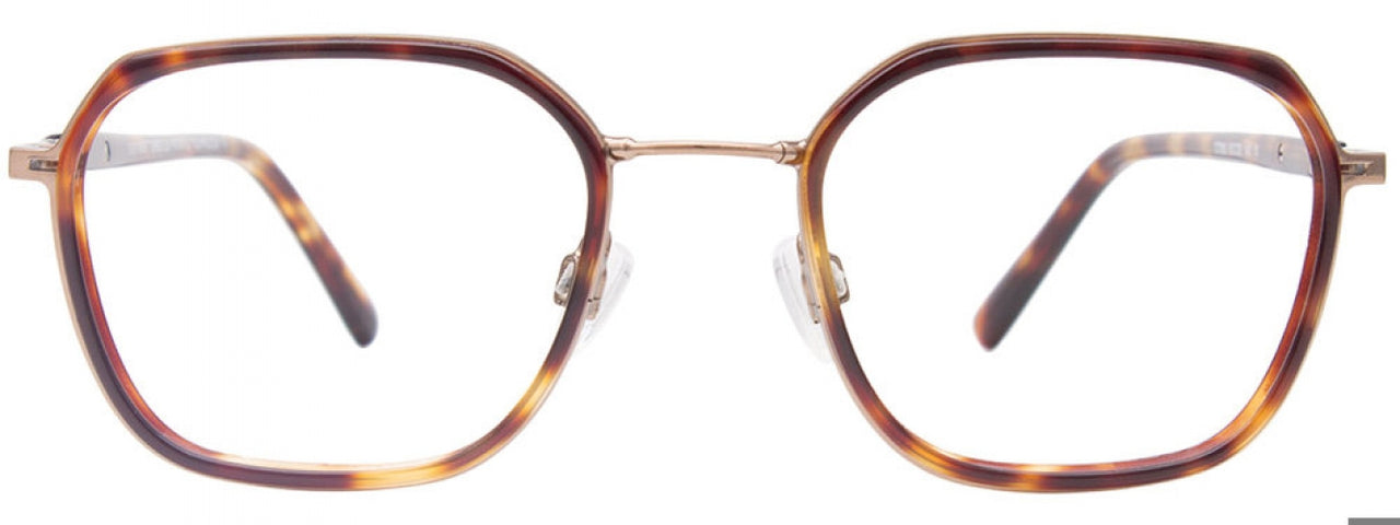 10 - Brown Tortoise & Gold