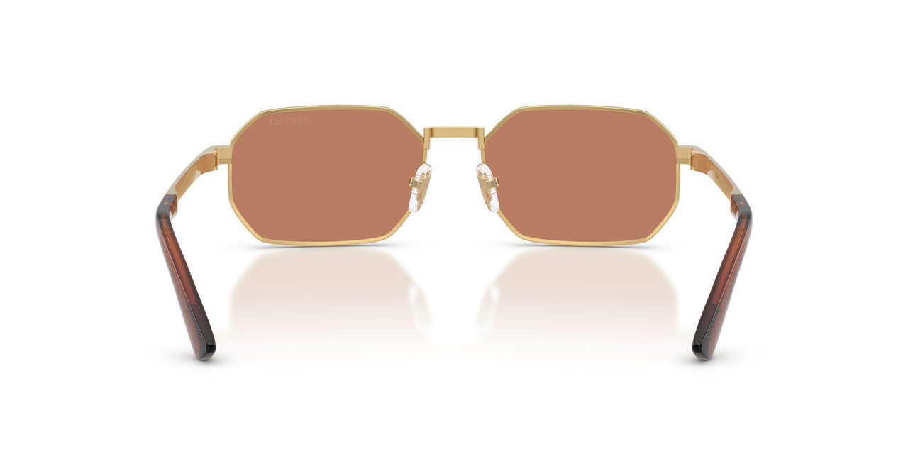 100273 - Gold - Brown