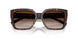 80153B - Tortoise - Brown Gradient
