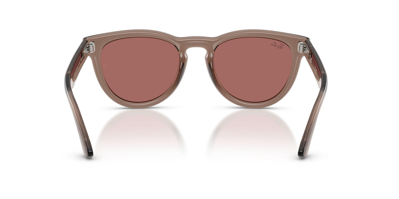 682769 - Brown - Dark Violet