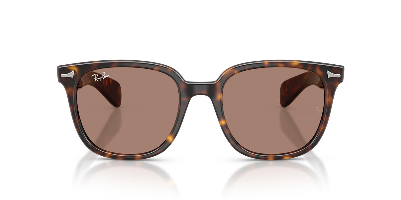 902/1A - Tortoise - Light Violet