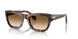 24/51 - Tortoise - Clear Gradient Brown