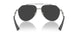 136648 - Silver - Polarized Black