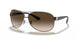 004/13 - Gunmetal - Brown Gradient