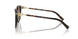 80153B - Tortoise - Brown Gradient