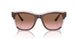 313614 - Brown - Pink Gradient Brown