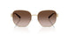334613 - Gold - Brown Gradient