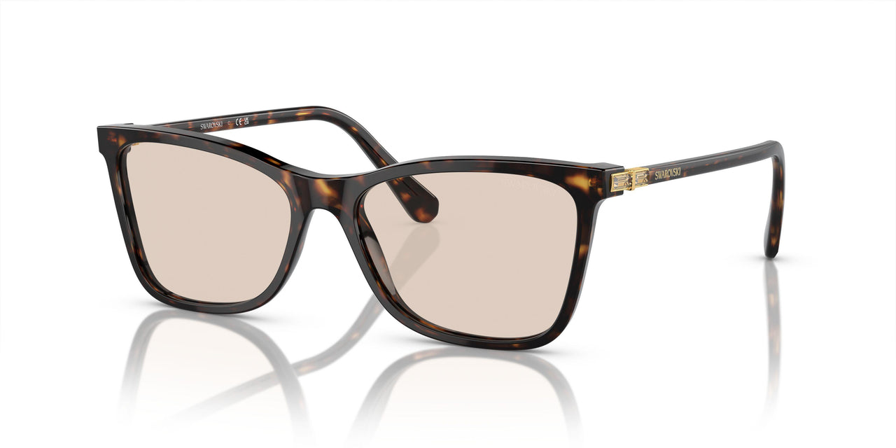 1002M4 - Brown - Photo Brown
