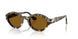 107133 - Tortoise - Brown