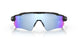 920851 - Matte Black - Prizm Black Polarized