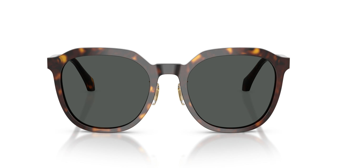 108/87 - Brown - Dark Grey