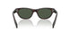 17N90V - Tortoise - Dark Grey Polarized