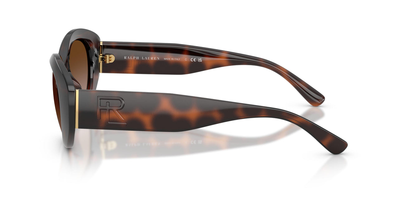 624113 - Tortoise - Gradient Brown