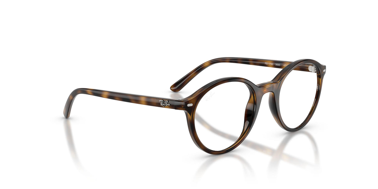 3685 - Tortoise - Clear