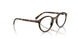 3685 - Tortoise - Clear