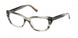 ABERCROMBIE & FITCH 50066 Eyeglasses