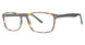 024 - Matte Tortoise