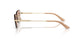 300613 - Gold - Brown Gradient