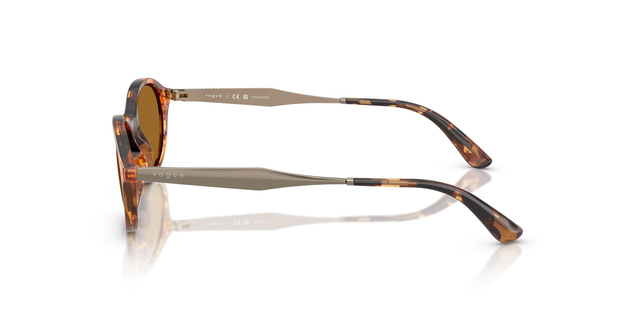 320083 - Tortoise - Bronze Polar