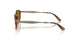 320083 - Tortoise - Bronze Polar