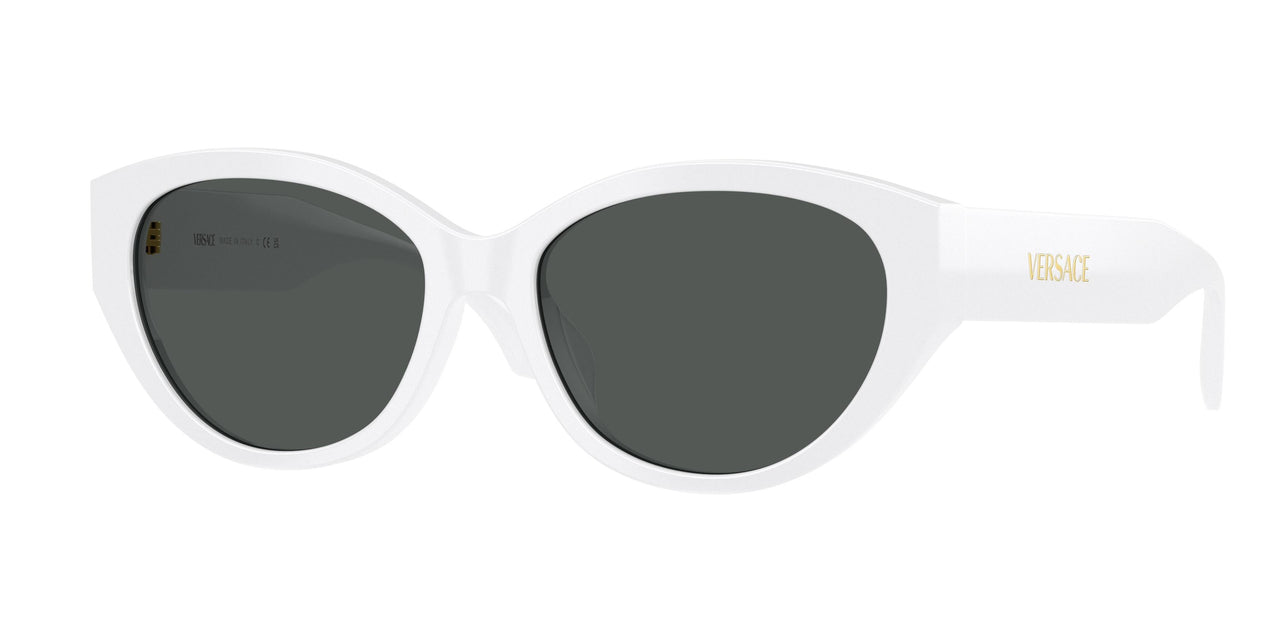 Versace 4495D Sunglasses
