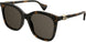 002 - Havana - Brown
