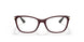 2907 - Brown