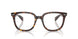 2012 - Tortoise