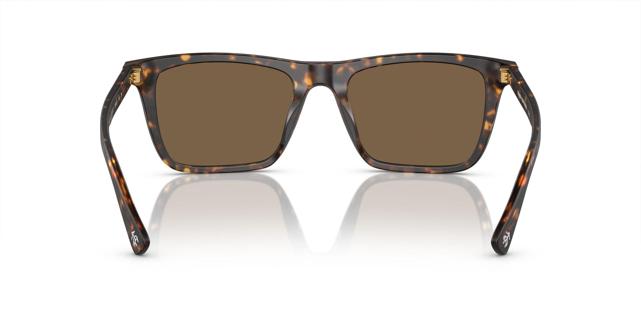 616173 - Tortoise - Dark Brown