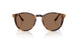 513473 - Havana - Brown